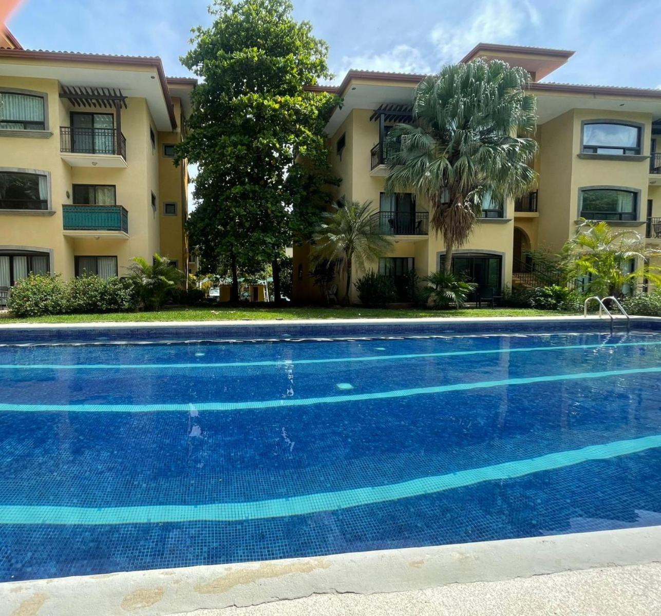 Apartment The Oaks Pool Front Fast Wifi