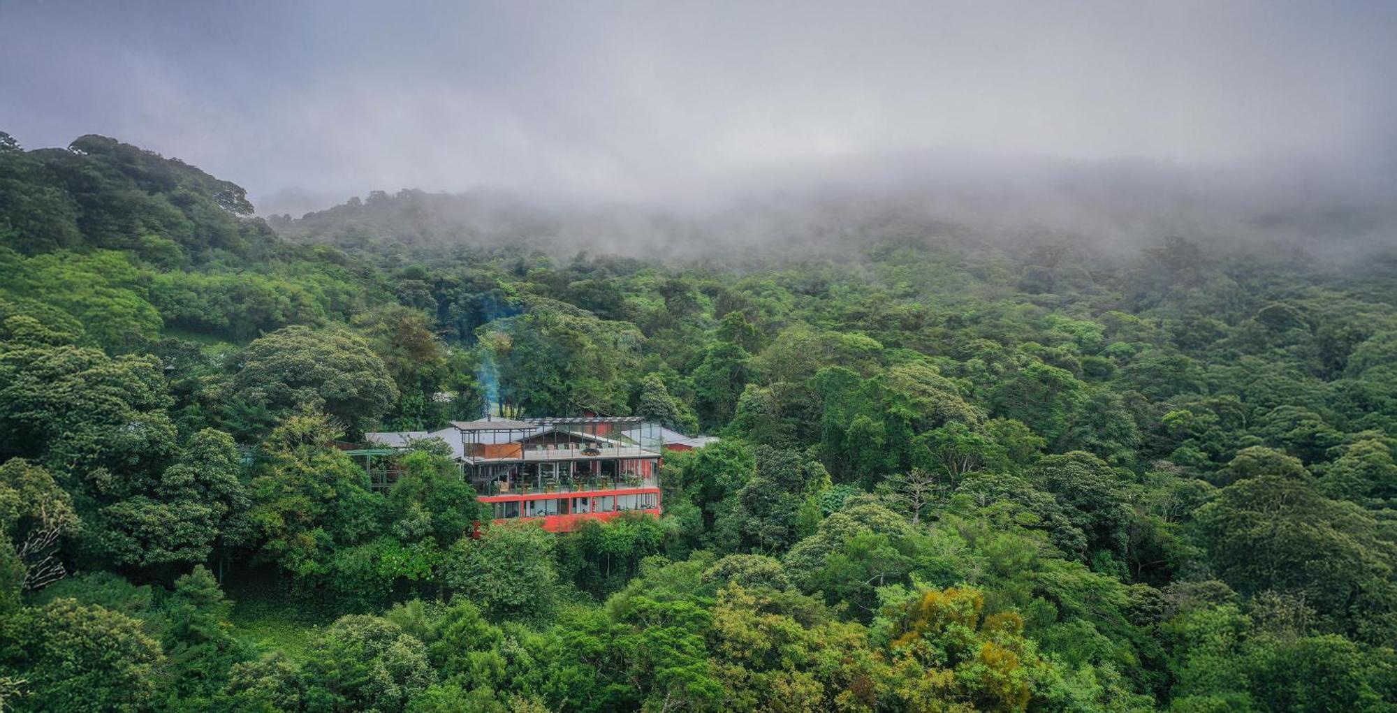 Cloud Forest By Boeena