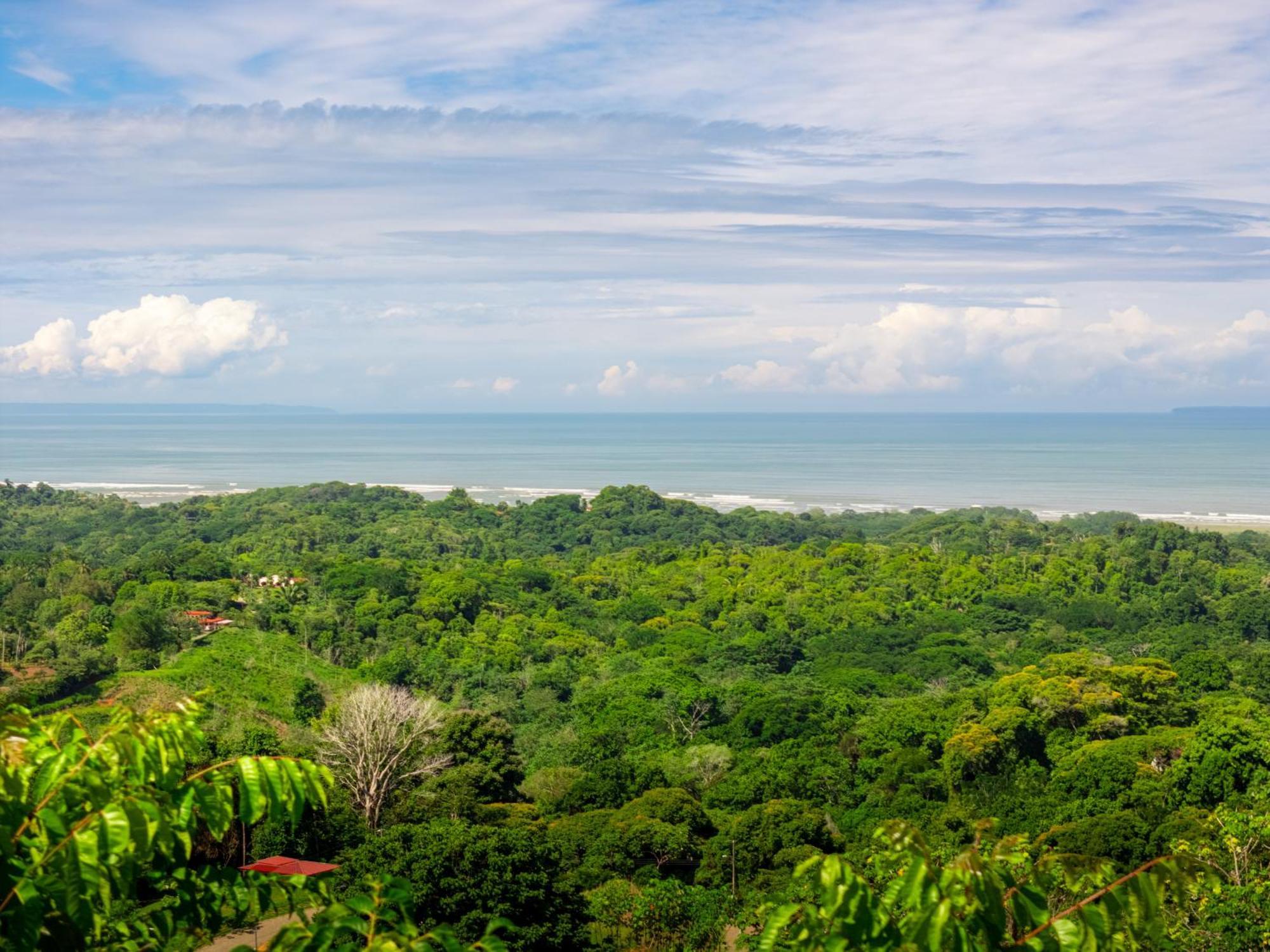 Unforgettable Roca Ocean To Mountain Views Villa *