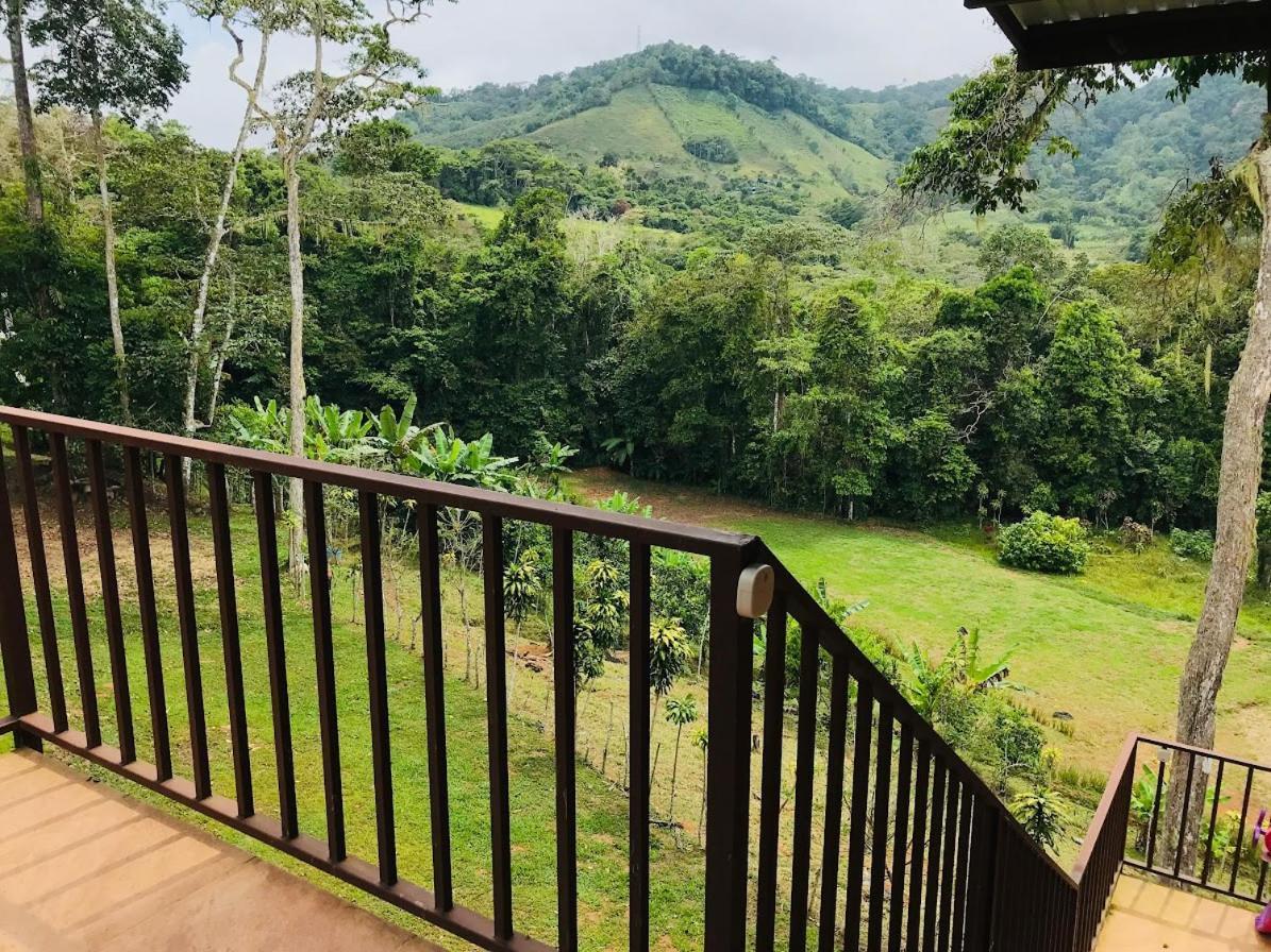Paradise Mountain Guest house *