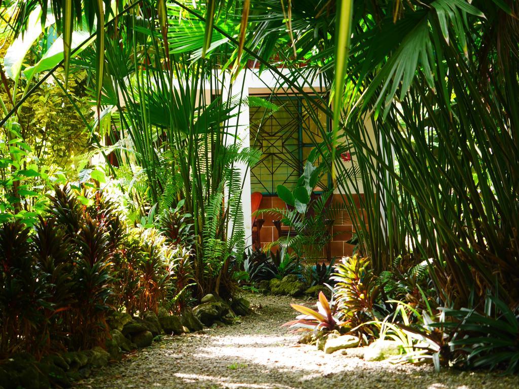 Cabinas Tito Lodge