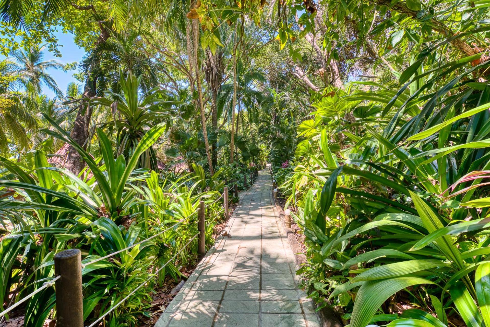 Hotel Ylang Ylang Montezuma