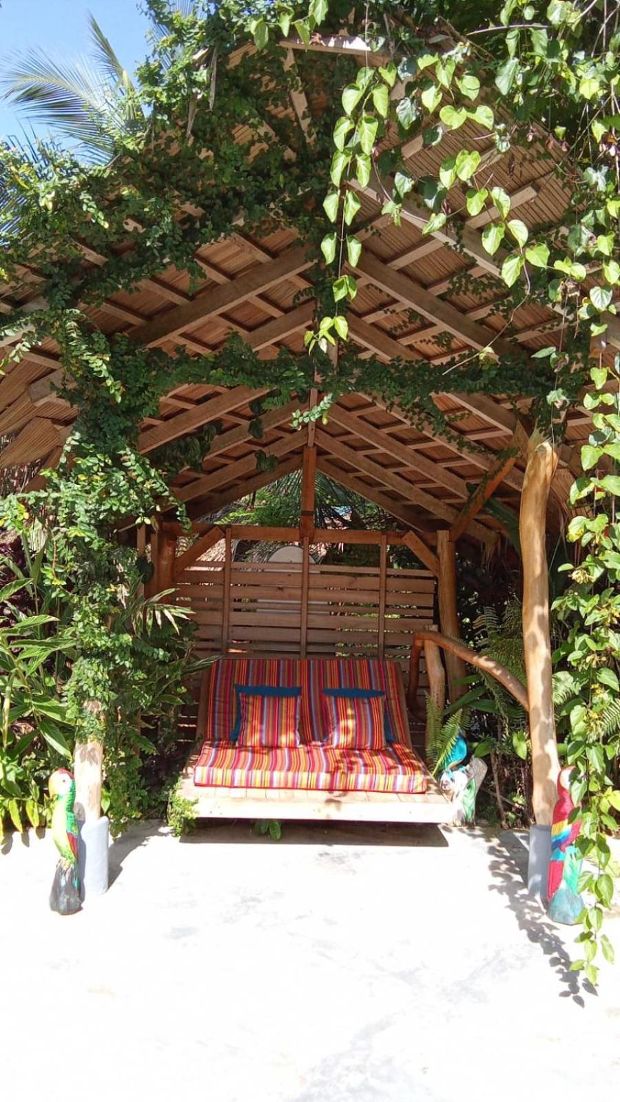 La Rana De Cahuita