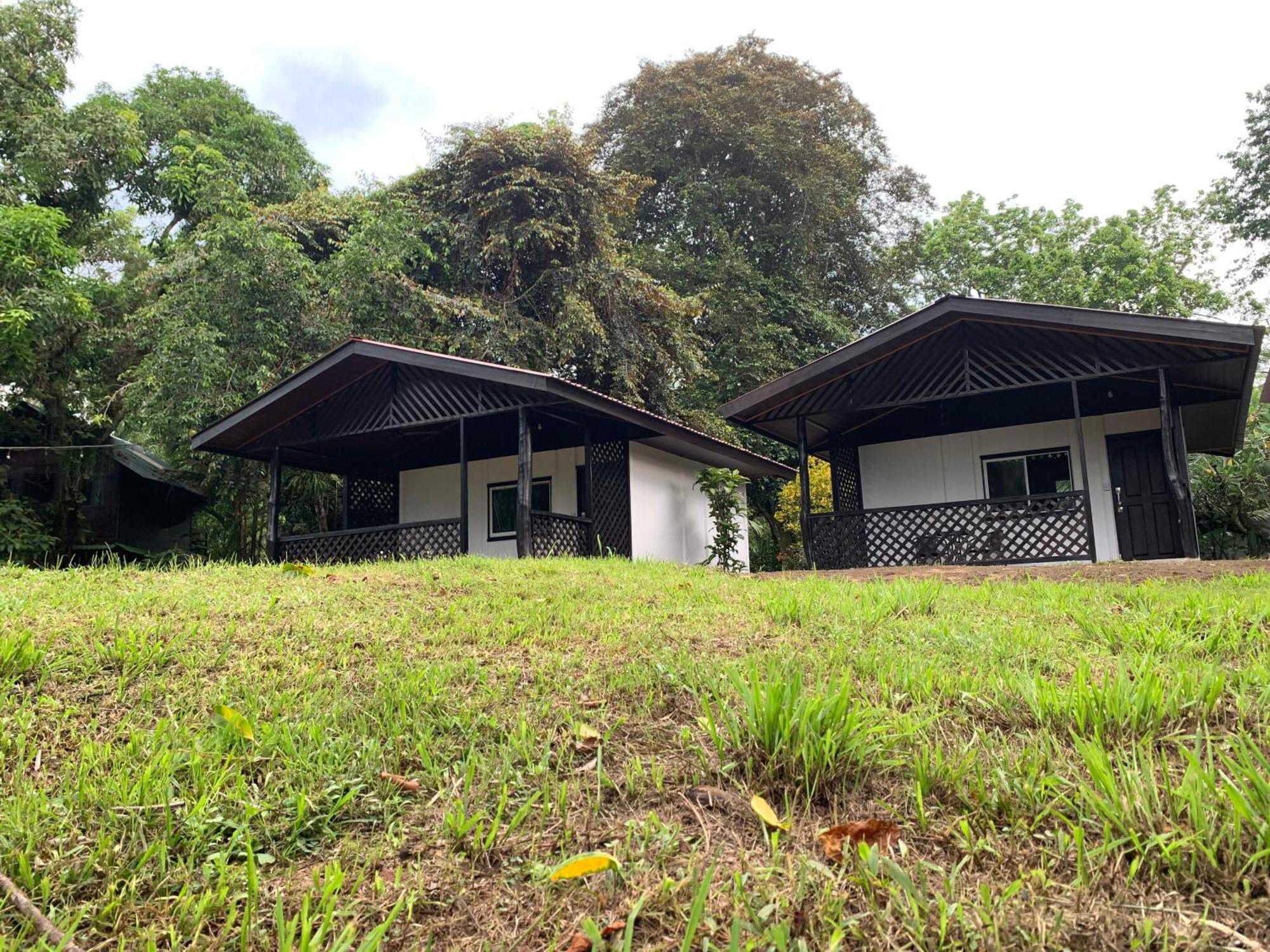 Lodge Playa Grande & Tree House