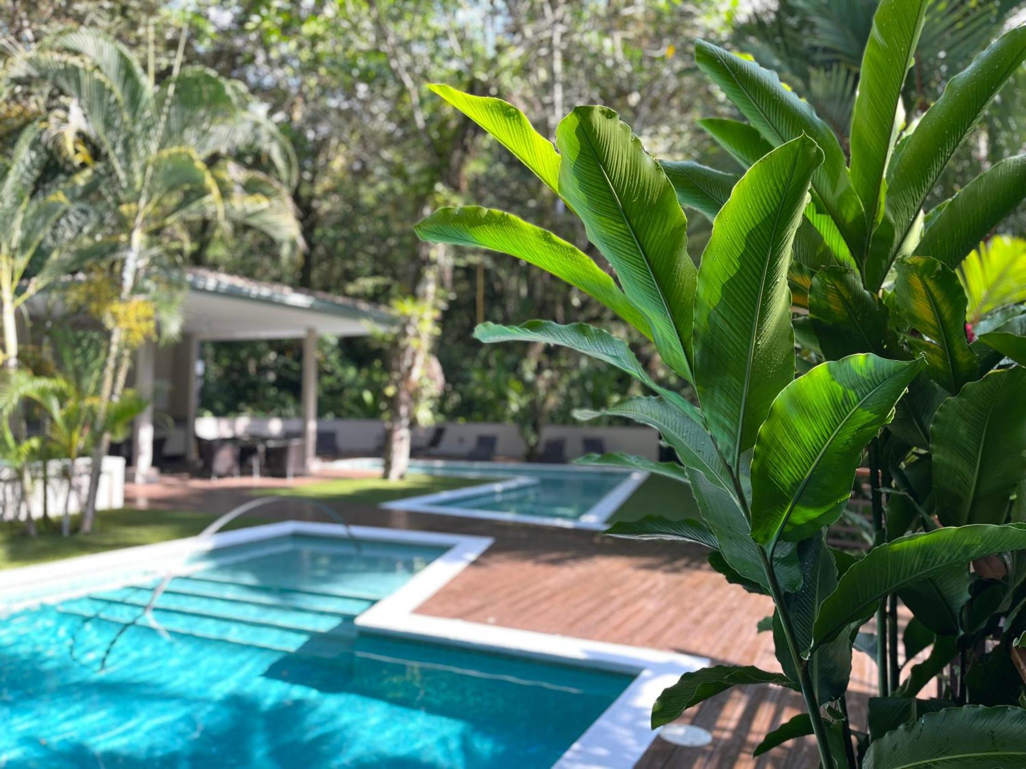 Elan At Ballena 5* Uvita