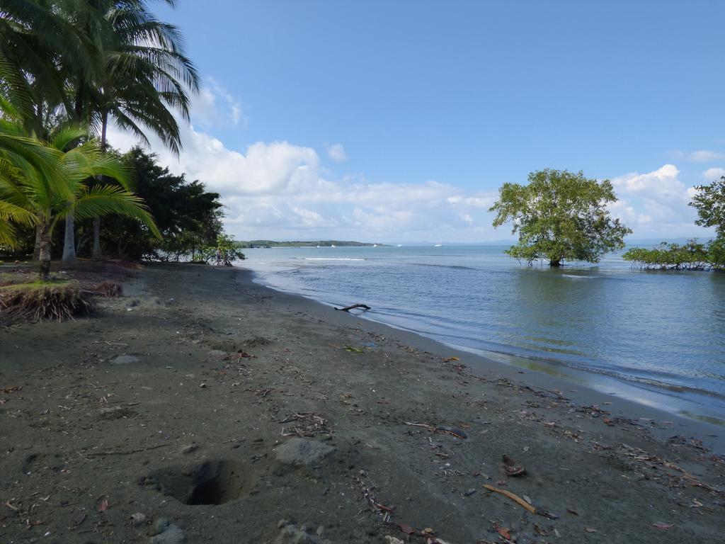 Corcovado
