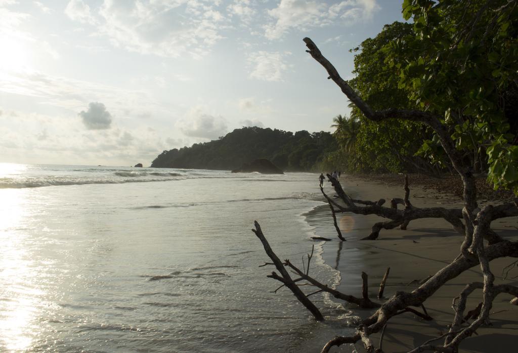 Ecohotel Arboleda Hotel Manuel Antonio