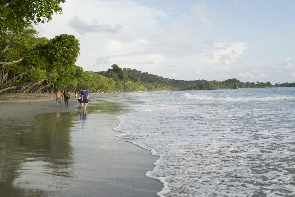 Hotel Ecohotel Arboleda Manuel Antonio