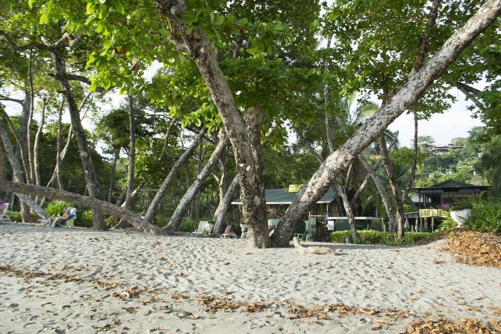 Hotel Ecohotel Arboleda