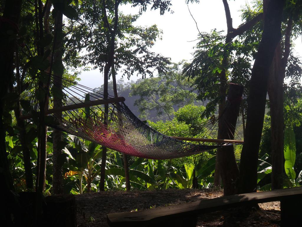 Casa Iguana Holiday home