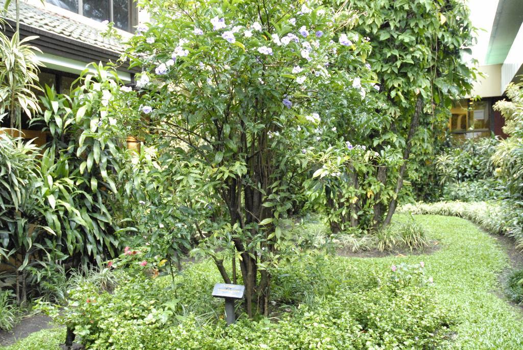 Beacon Escazu