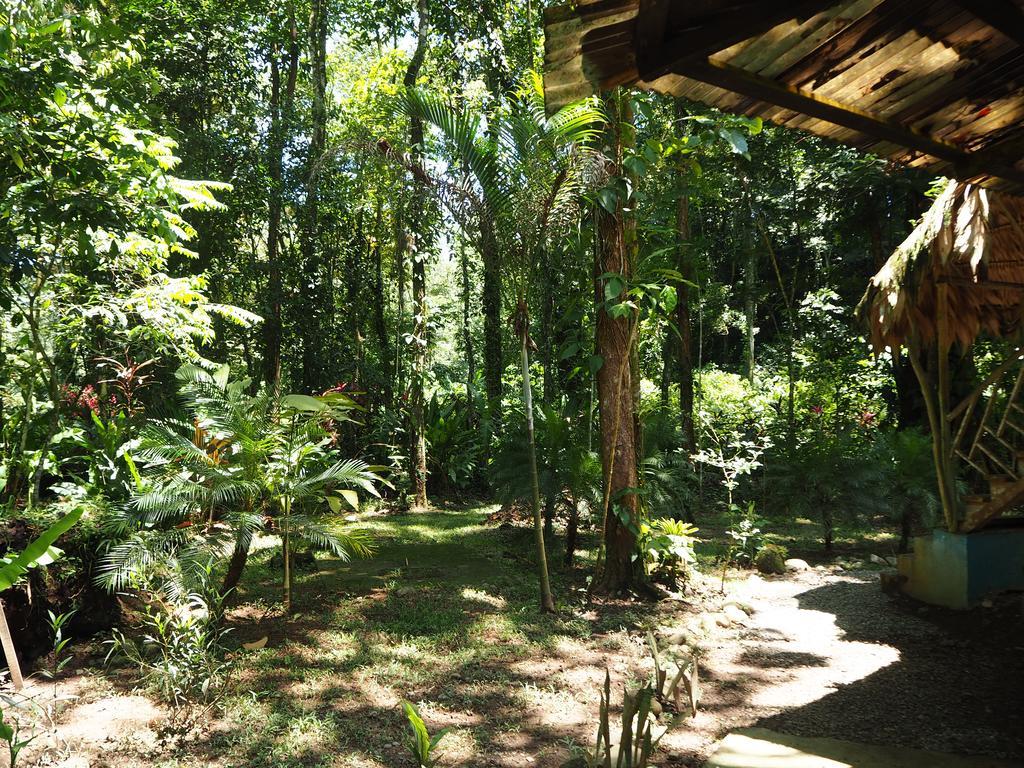 Se Ua Bed & Breakfast Manzanillo (Limon)