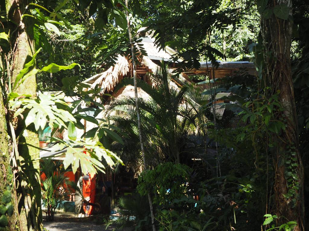 Bed & Breakfast Se Ua Manzanillo (Limon)