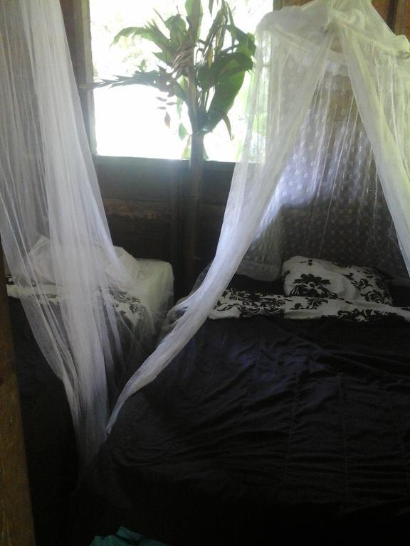 Hostel Blue Butterfly Puerto Viejo de Talamanca