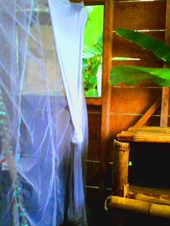 Hostel Blue Butterfly Puerto Viejo de Talamanca