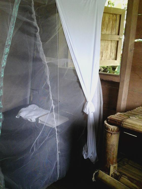 Hostel Blue Butterfly *