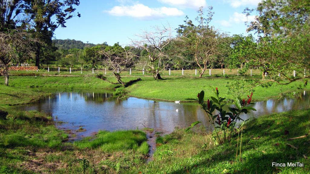 Tai Cacao Bijagua