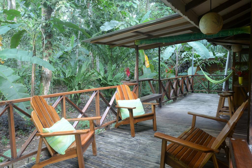 Pachamama Jungle River - Punta Uva Guest house 3*