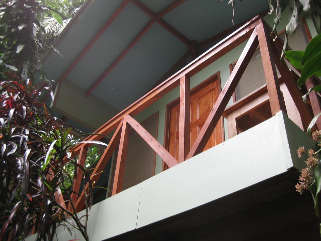 Luz En El Cielo Eco-b&b/hostel 3*