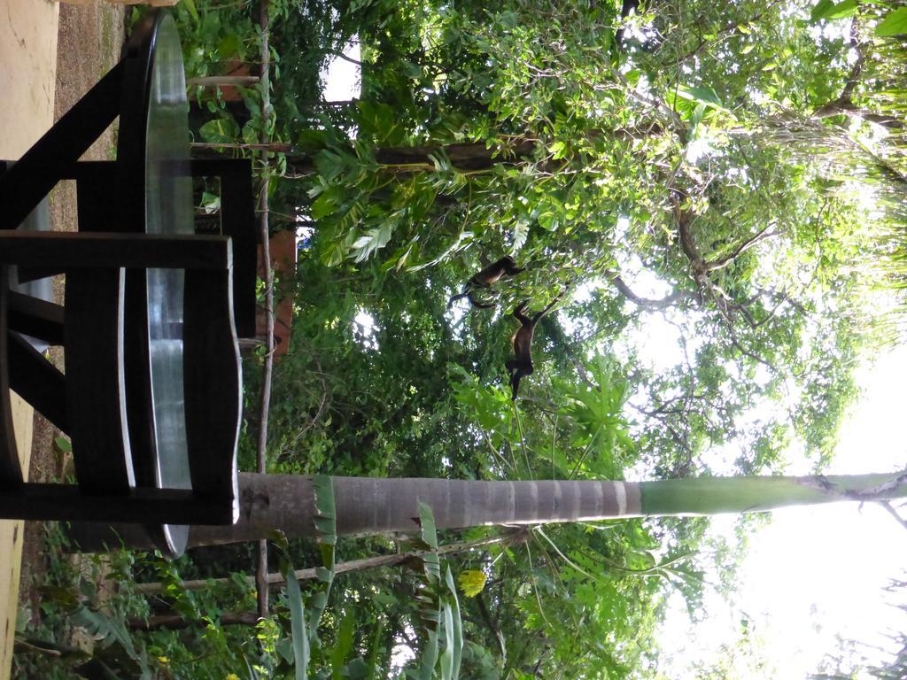 Mundo Milo Eco Paraiso (Guanacaste)