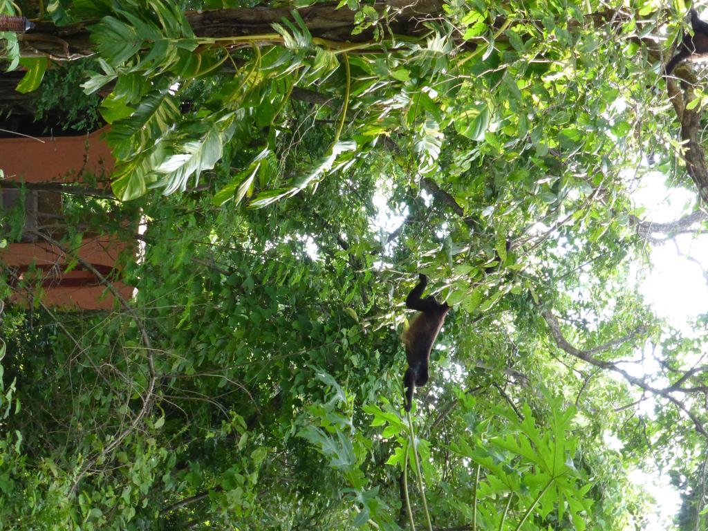 Mundo Milo Eco