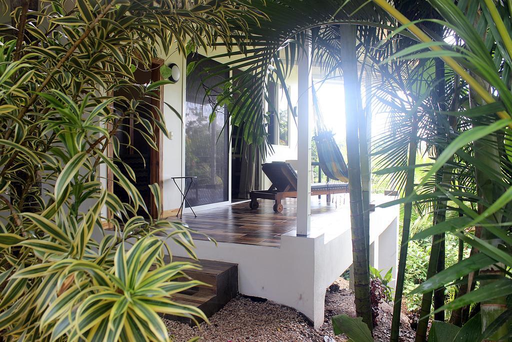 Hotel Funky Monkey 3*