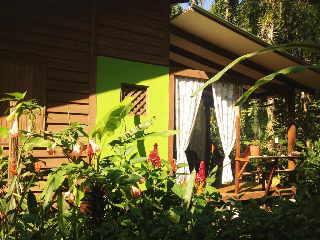 Casa Lina Sloth View Exotic With Privat Kitchen *