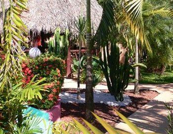 Hotel La Palmera Jaco