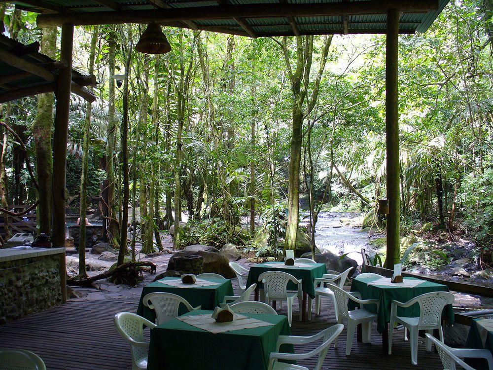 Hotel Termales Del Bosque & Hot Springs