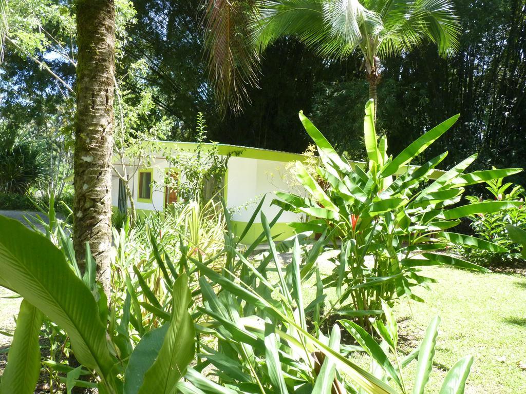 3 Bamboo Eco Bed & Breakfast 3*