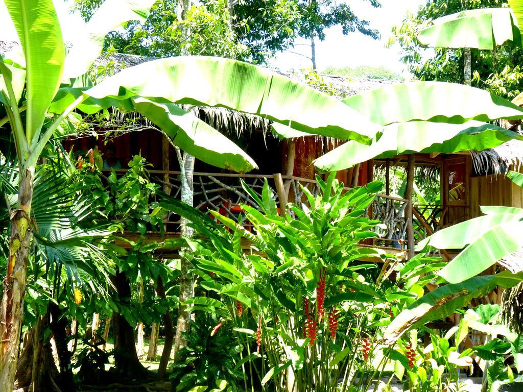 3 Bamboo Eco Bed & Breakfast Cahuita
