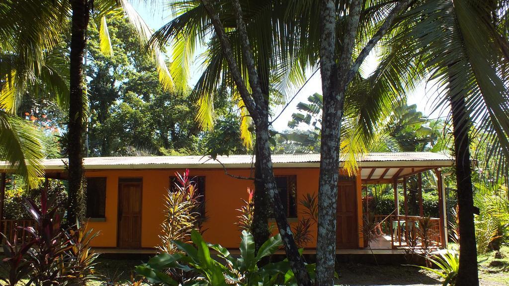Lodge Cabinas Caribe Luna Cahuita
