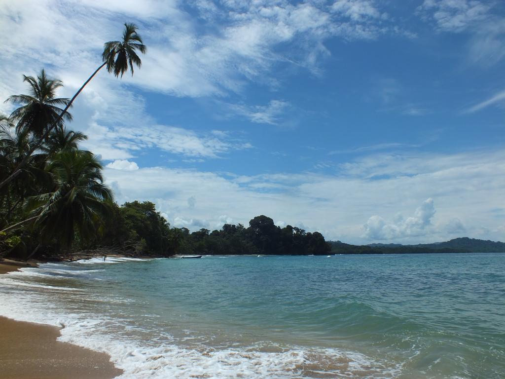 Cabinas Caribe Luna Lodge *