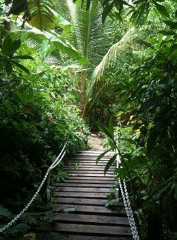 La Tropicale