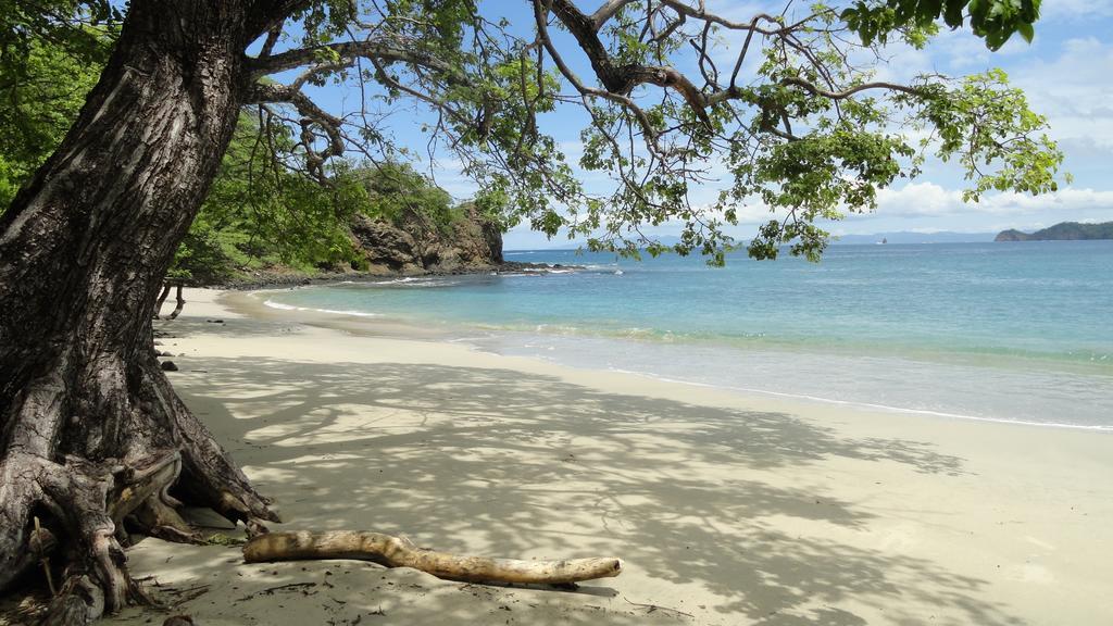 Colono Beach Coco