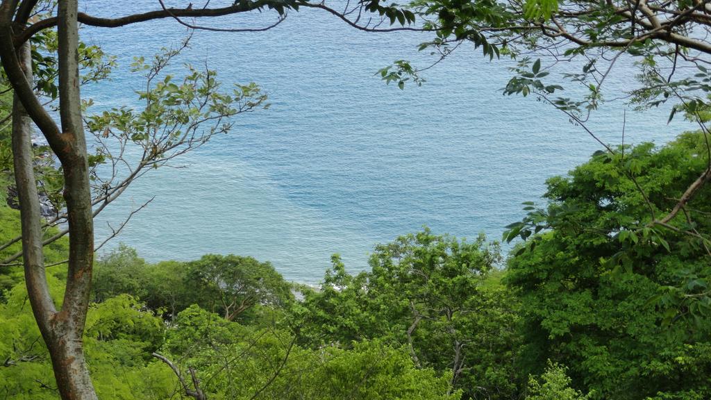 Hotel Colono Beach Coco