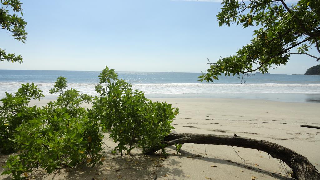 Colono Beach Hotel 3*