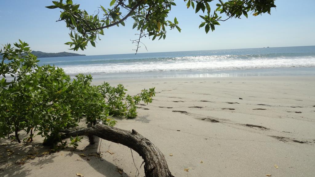 Hotel Colono Beach