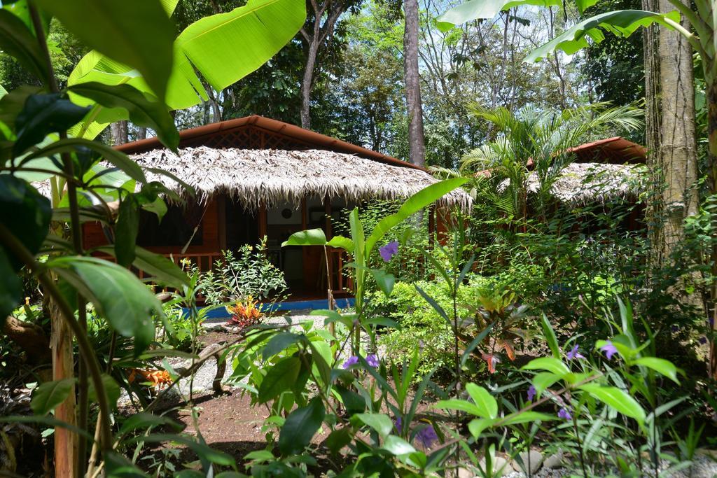 Casitas Flores