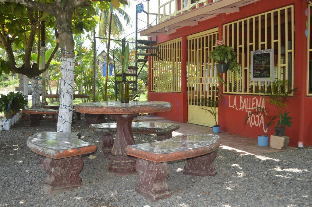 La Ballena Roja And Cafe