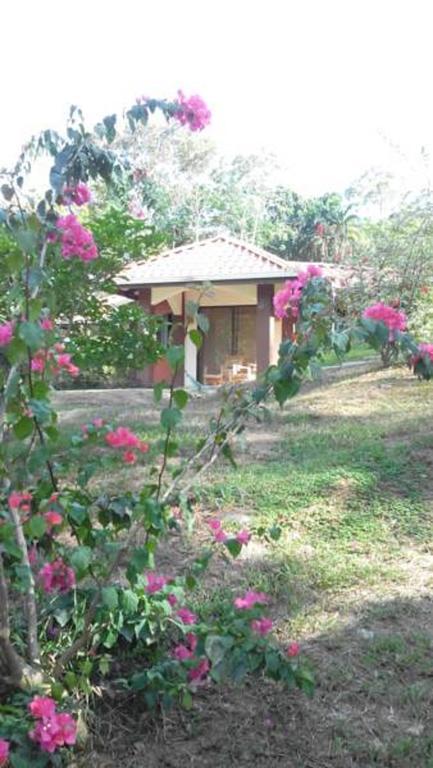 Hotel La Cacatua 3*