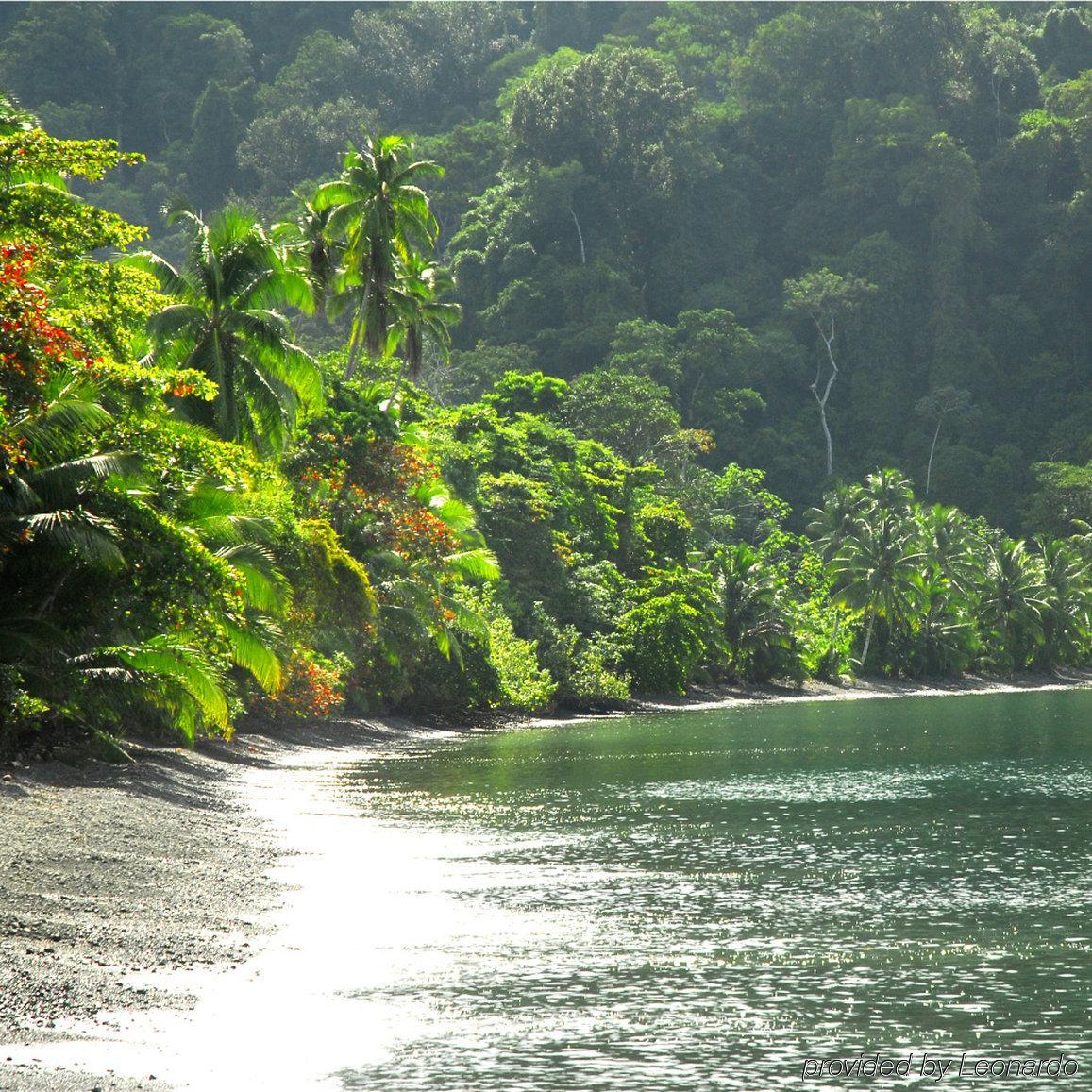 Lodge Playa Nicuesa Rainforest Eco Sanctuary *