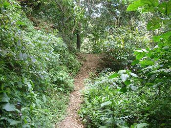Monte Campana Heredia 3*