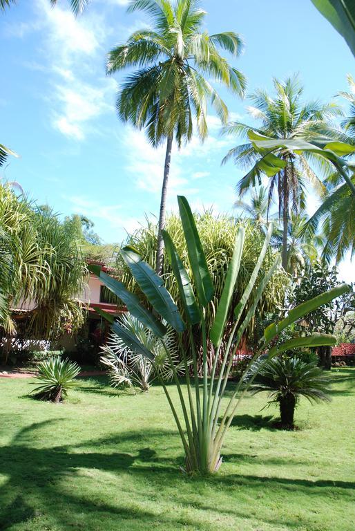 Beso Del Viento (adults Only) Hotel Parrita
