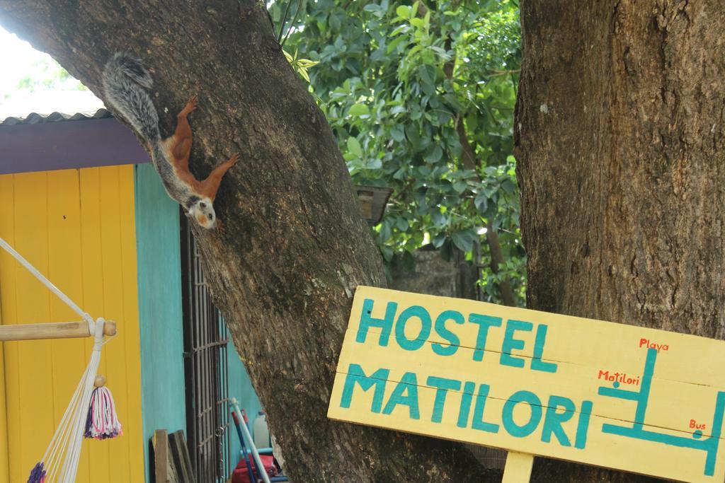 Hostel Matilori *