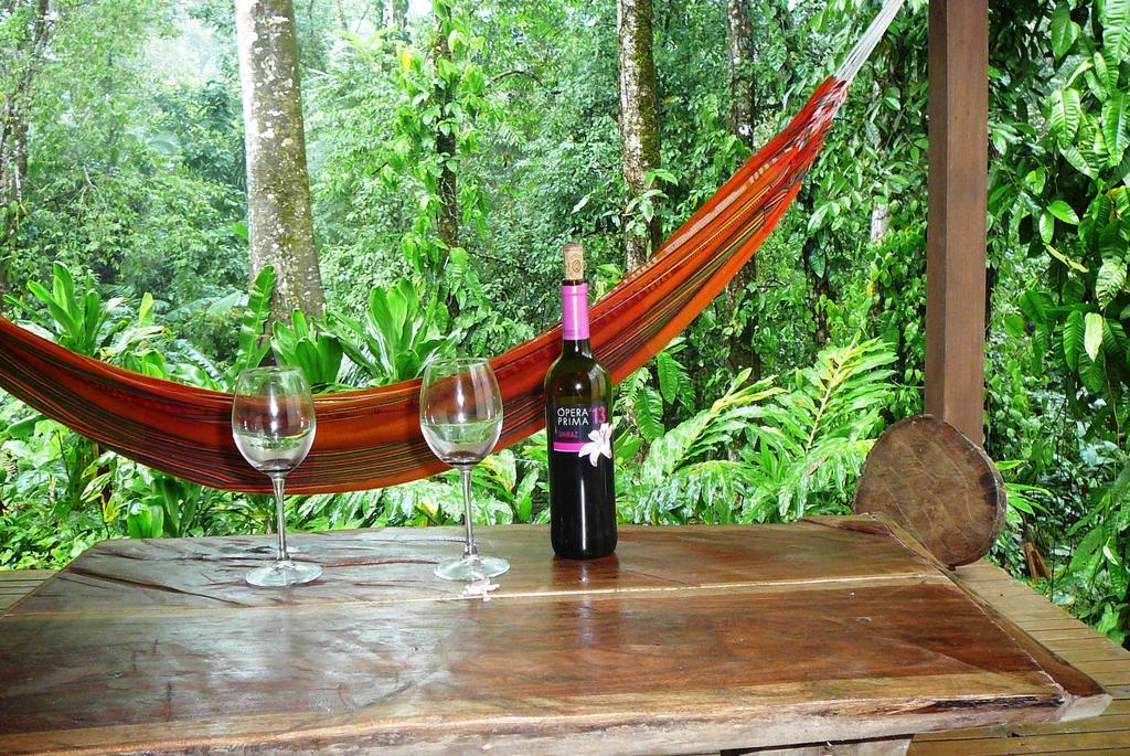 Casa Lina Sloth View Exotic With Privat Kitchen * Puerto Viejo de Talamanca