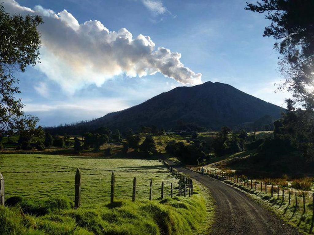 Wagelia Hotel Turrialba