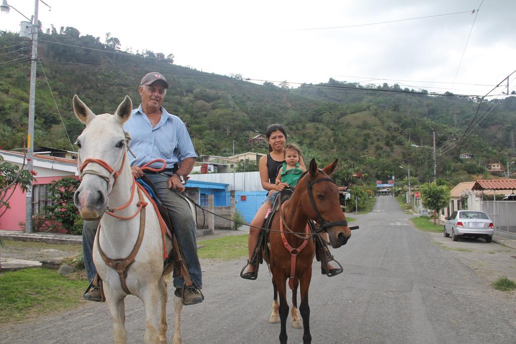 Guest house Reventazon