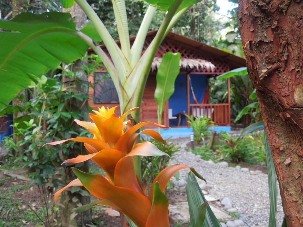Casitas Flores Hotel Puerto Viejo de Talamanca
