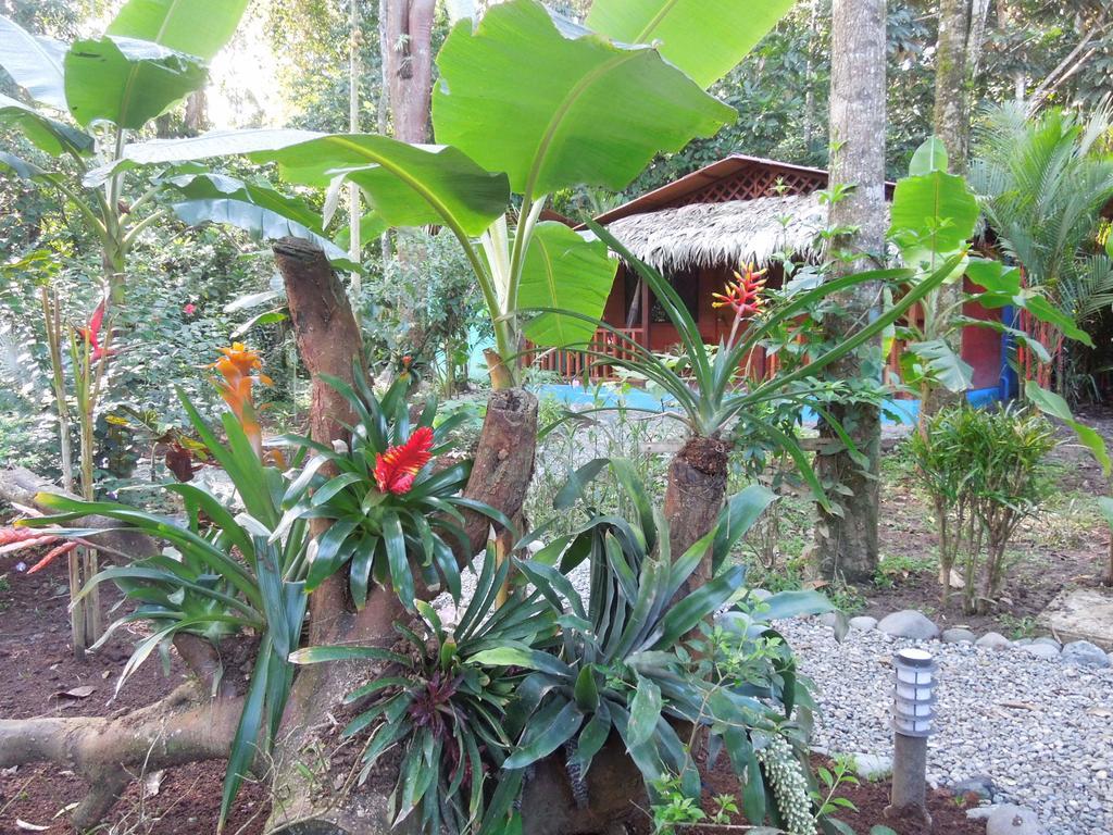 Casitas Flores *